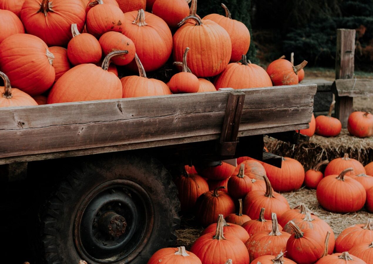 The Best 2020 Fall Activities in the Nashville Area
